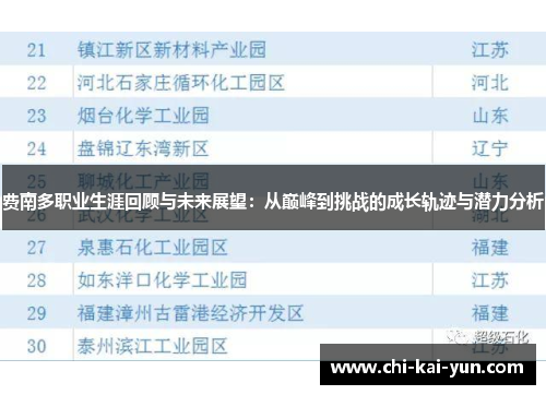 费南多职业生涯回顾与未来展望：从巅峰到挑战的成长轨迹与潜力分析
