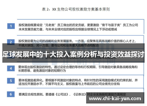 足球发展中的十大投入案例分析与投资效益探讨