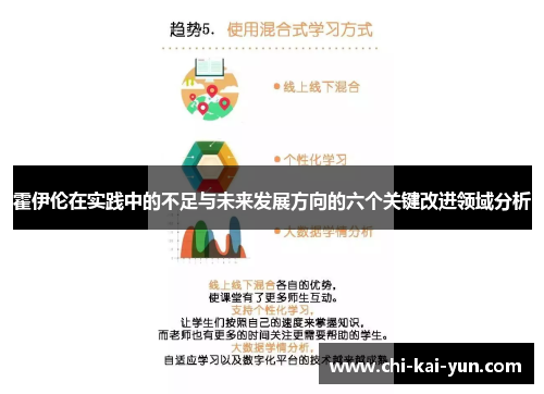 霍伊伦在实践中的不足与未来发展方向的六个关键改进领域分析