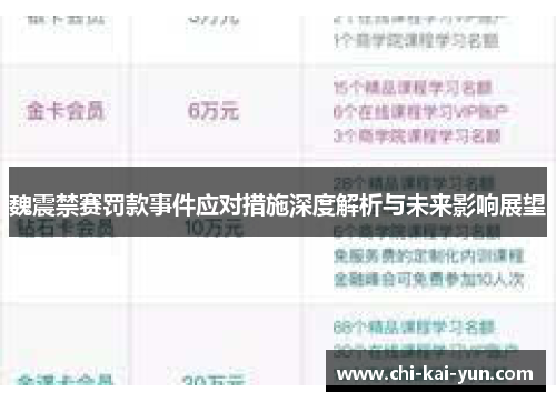 魏震禁赛罚款事件应对措施深度解析与未来影响展望