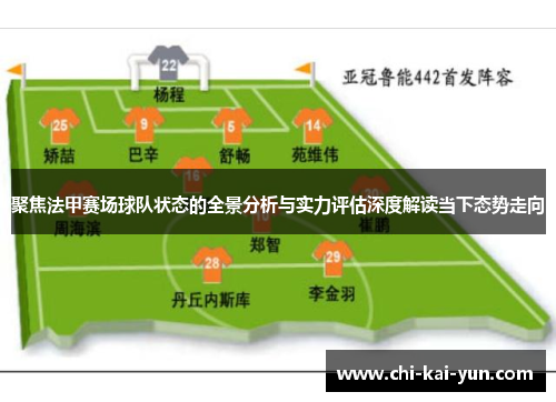 聚焦法甲赛场球队状态的全景分析与实力评估深度解读当下态势走向