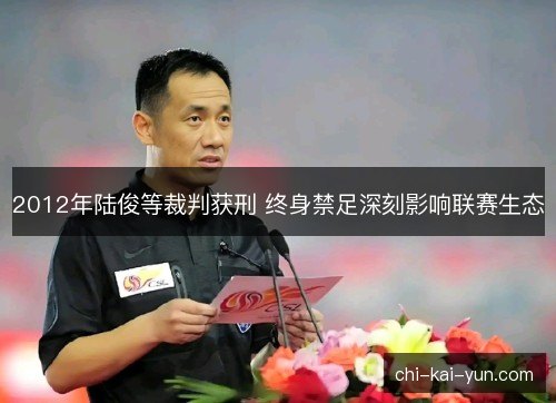 2012年陆俊等裁判获刑 终身禁足深刻影响联赛生态 2012年陆俊等裁判获刑 终身禁足深刻影响联赛生态